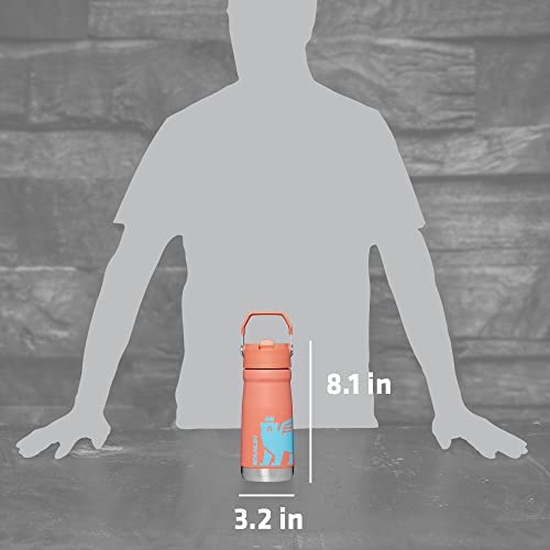 Stanley Kids IceFlow Flip Straw Tumbler, 20oz