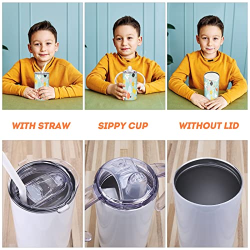 12oz Double Wall Vacuum Sippy Cup with Handle