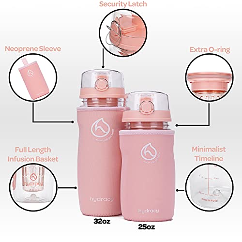 Hydracy Rose Gold Fruit Infuser Water Bottle
