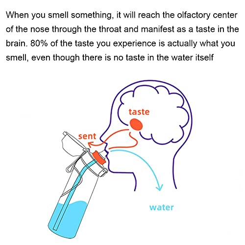 XinYuan 17-Pack Fruity Scented Air Up Water Bottle