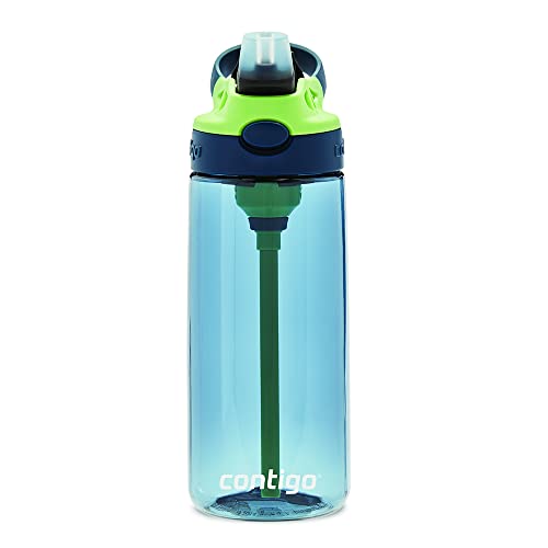Contigo Cleanable Kids Water Bottle, 20oz, Blueberry/Green Apple