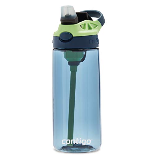 Contigo Cleanable Kids Water Bottle, 20oz, Blueberry/Green Apple