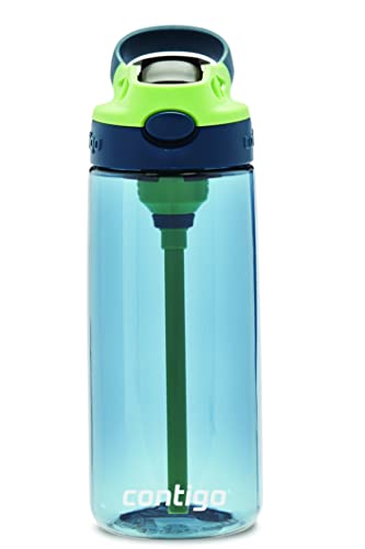 Contigo Cleanable Kids Water Bottle, 20oz, Blueberry/Green Apple