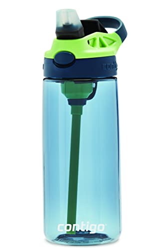 Contigo Cleanable Kids Water Bottle, 20oz, Blueberry/Green Apple