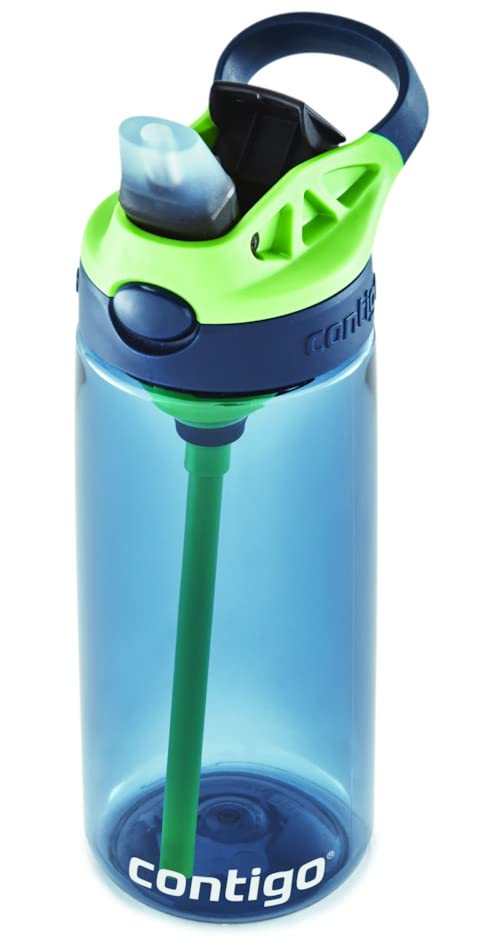 Contigo Cleanable Kids Water Bottle, 20oz, Blueberry/Green Apple