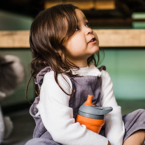 Tommee Tippee Sporty Insulated Toddler Water Bottle