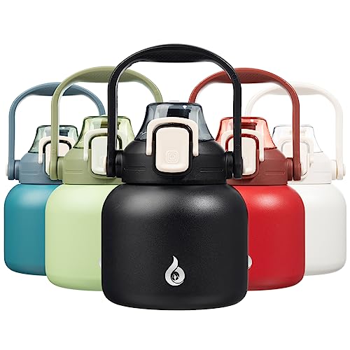 20oz Insulated Water Bottle with Straw, Cute Handle