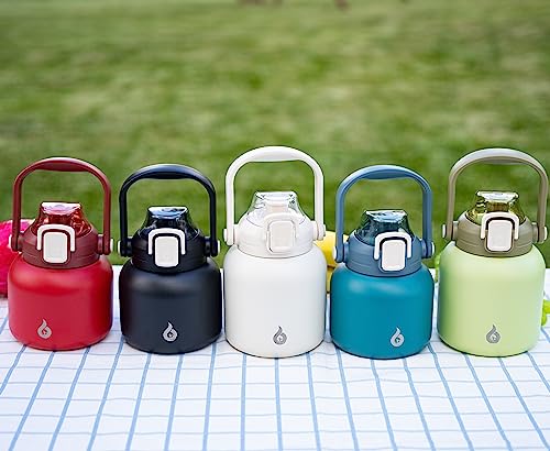 20oz Insulated Water Bottle with Straw, Cute Handle