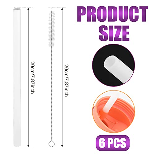 Reusable Straws for Owala FreeSip or Flip Water Bottle