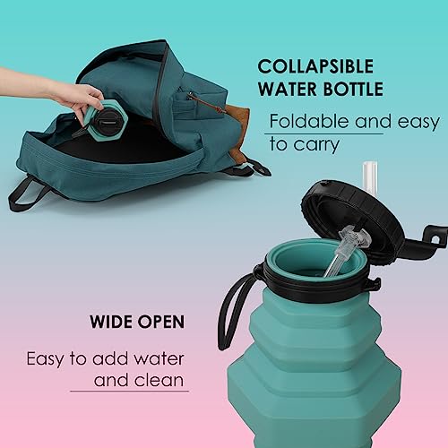 Collapsible Silicone Water Bottle - BPA Free - 500ml
