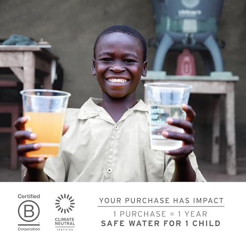 LifeStraw Collapsible Squeeze Bottle Water Filter - 1L