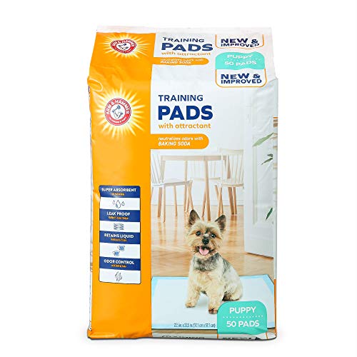 Arm & Hammer Puppy Training Pads | 50 Count