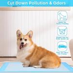 Waterproof Dog Training Pads - 50 Small Blue
