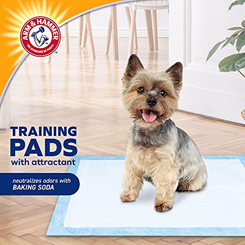 Arm & Hammer Puppy Training Pads | 50 Count