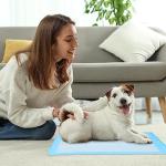 Waterproof Dog Training Pads - 50 Small Blue