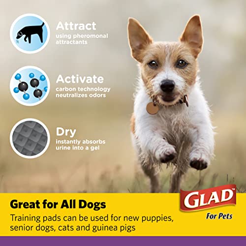 Glad for Pets JUMBO Charcoal Puppy Pads | Absorbent & Odor-Neutralizing | 30 Count