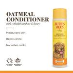 Burt's Bees Dog Oatmeal Conditioner - Natural & Hypoallergenic