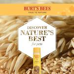 Burt's Bees Dog Oatmeal Conditioner - Natural & Hypoallergenic