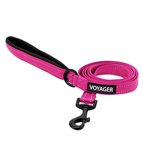Reflective Dog Leash, Neoprene Handle, 5ft Long - Fuchsia