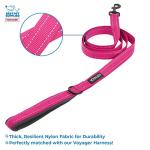 Reflective Dog Leash, Neoprene Handle, 5ft Long - Fuchsia