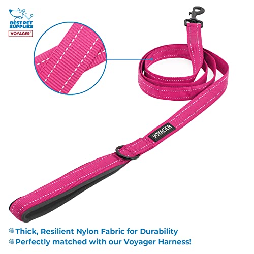 Reflective Dog Leash, Neoprene Handle, 5ft Long - Fuchsia