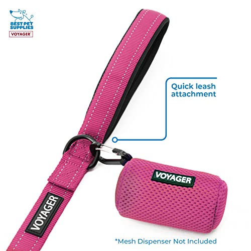 Reflective Dog Leash, Neoprene Handle, 5ft Long - Fuchsia