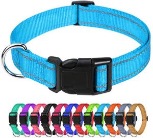 Reflective Adjustable Dog Collar - Sky Blue, 3/8