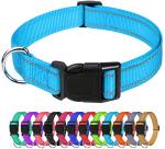 Reflective Adjustable Dog Collar - Sky Blue, 3/8
