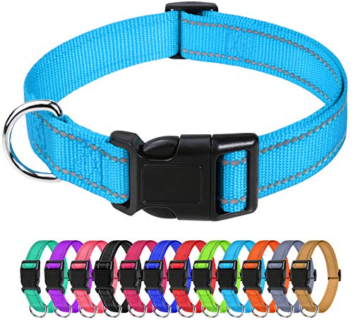 Reflective Adjustable Dog Collar - Sky Blue, 3/8