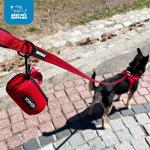 Reflective Dog Leash, Neoprene Handle, 5ft Long - Fuchsia