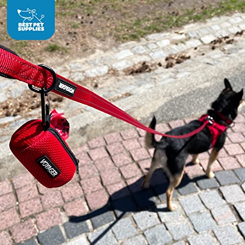 Reflective Dog Leash, Neoprene Handle, 5ft Long - Fuchsia
