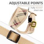 PUPTECK Mesh Dog Harness and Leash Set