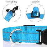 Reflective Adjustable Dog Collar - Sky Blue, 3/8