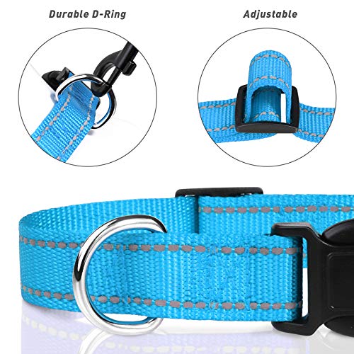 Reflective Adjustable Dog Collar - Sky Blue, 3/8