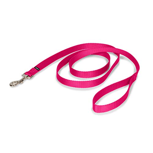 Durable Nylon Dog Leash - Easy Snap - Raspberry Pink
