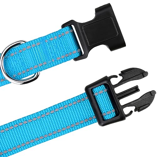 Reflective Adjustable Dog Collar - Sky Blue, 3/8