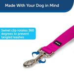 Durable Nylon Dog Leash - Easy Snap - Raspberry Pink