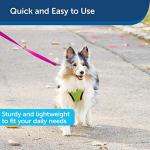 Durable Nylon Dog Leash - Easy Snap - Raspberry Pink