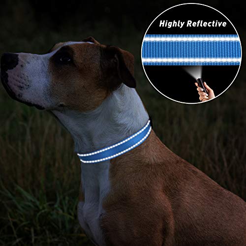 Reflective Adjustable Dog Collar - Sky Blue, 3/8