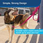 Durable Nylon Dog Leash - Easy Snap - Raspberry Pink