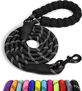Taglory Padded Handle Rope Leash, Highly Reflective