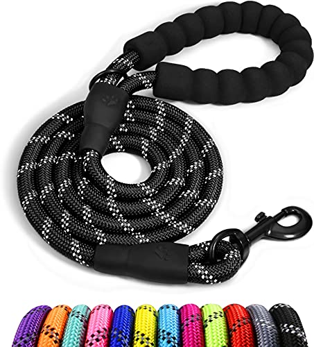 Taglory Padded Handle Rope Leash, Highly Reflective