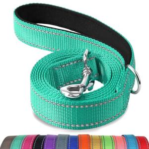 Reflective Dog Leash with Padded Handle - Teal (6FT)