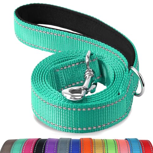 Reflective Dog Leash with Padded Handle - Teal (6FT)