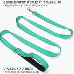 Reflective Dog Leash with Padded Handle - Teal (6FT)