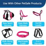 Durable Nylon Dog Leash - Easy Snap - Raspberry Pink