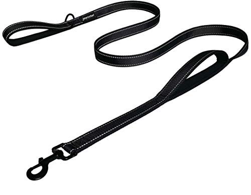 Padded Traffic Handle Dog Leash - Extra Control