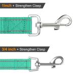 Reflective Dog Leash with Padded Handle - Teal (6FT)