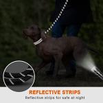 Taglory Padded Handle Rope Leash, Highly Reflective