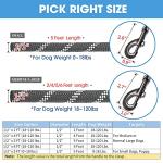 BAAPET Reflective Dog Leash with Padded Handle - Black